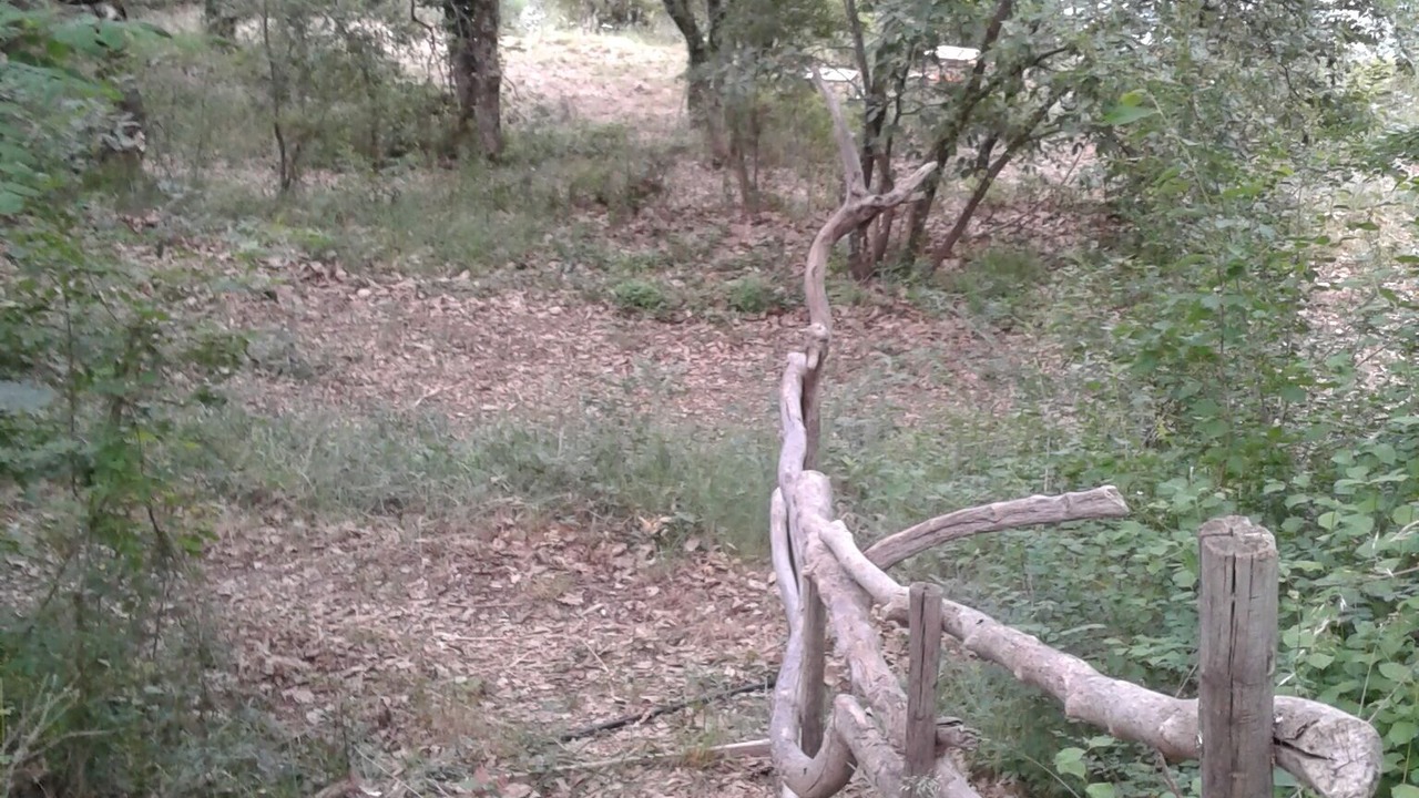 Photo of Outdoor in Sampzon