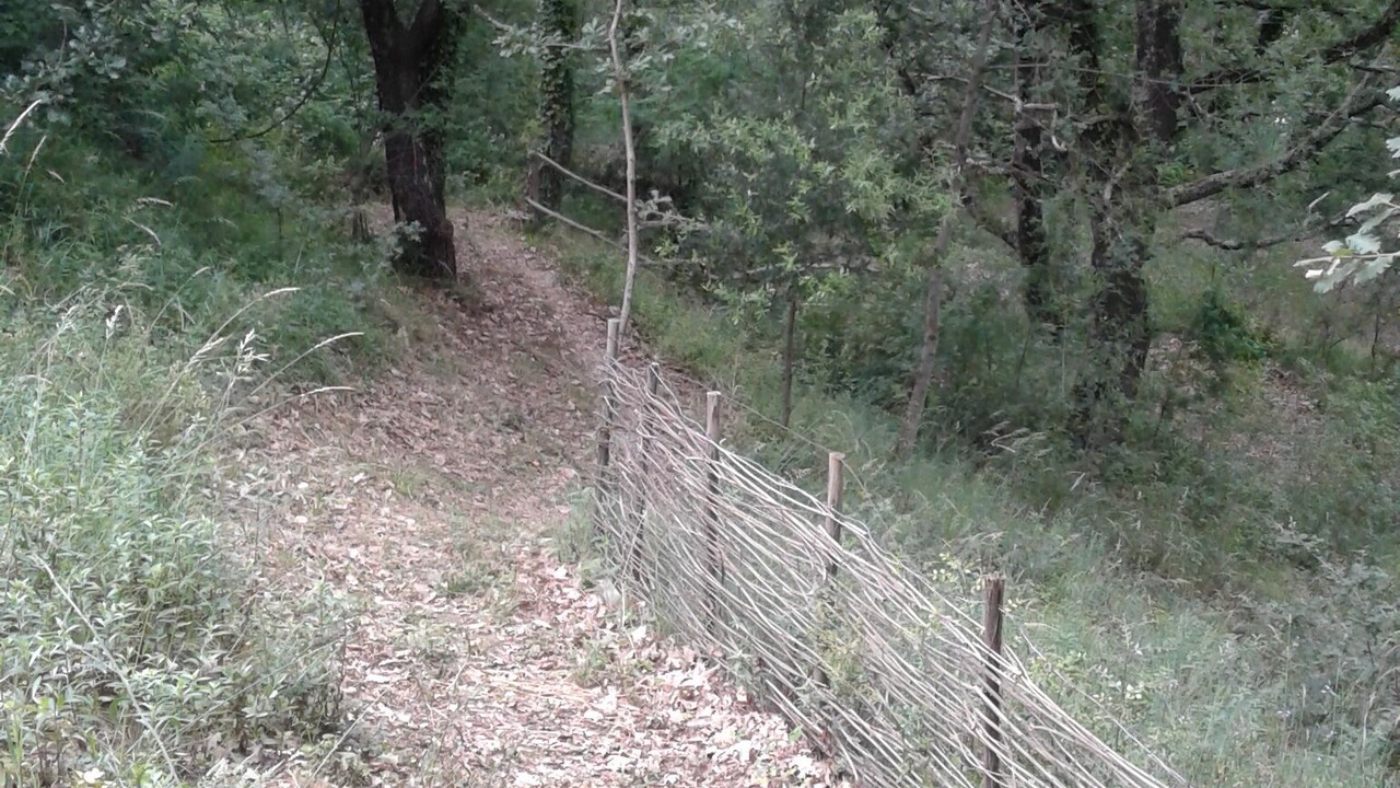 Photo of Outdoor in Sampzon