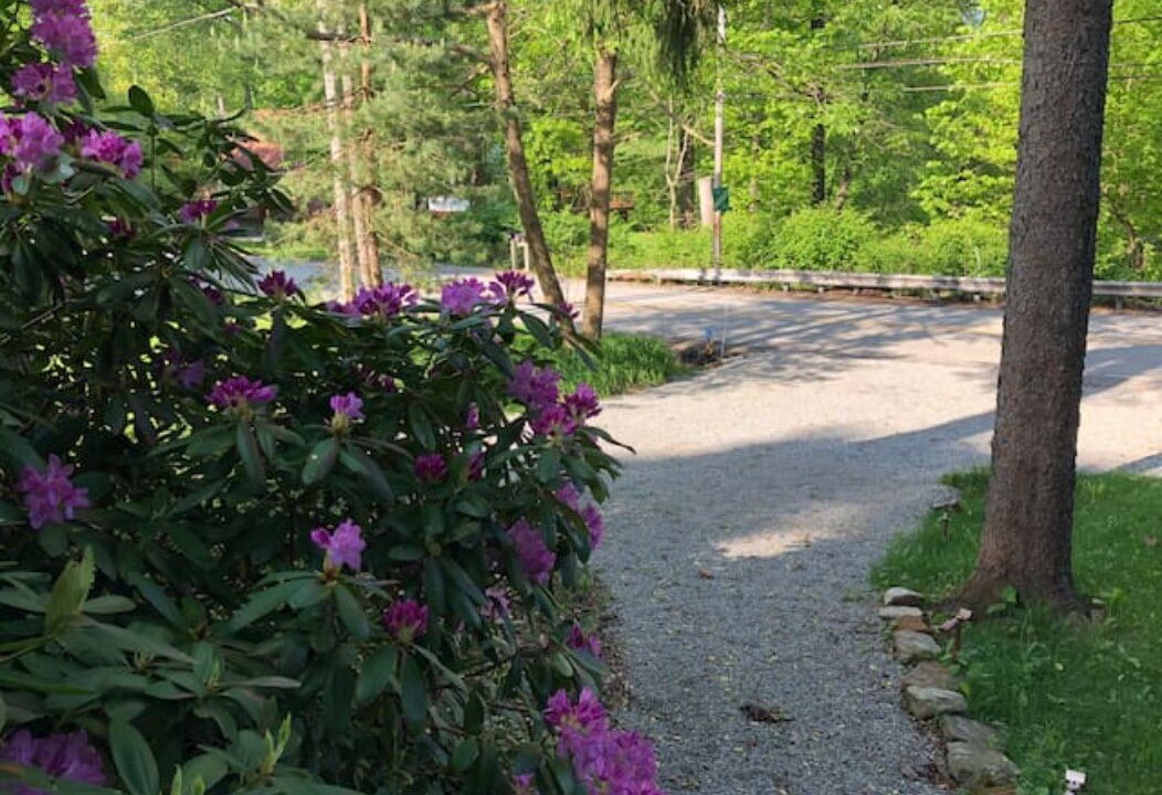 Photo of Outdoor in Brownfield