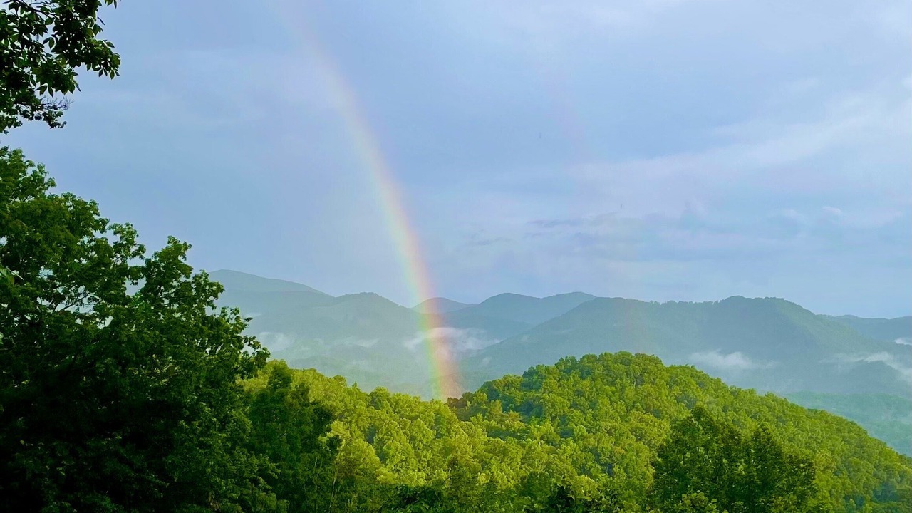 Photo of Others in Sylva
