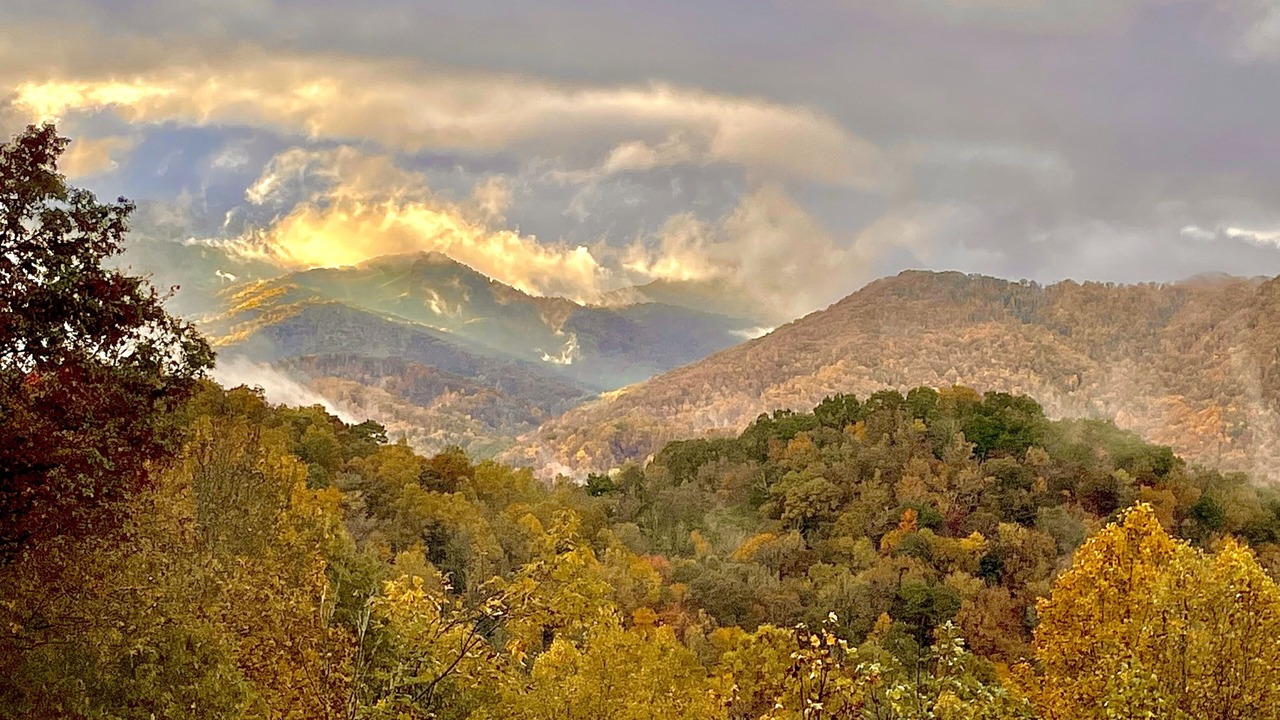 Photo of Others in Sylva