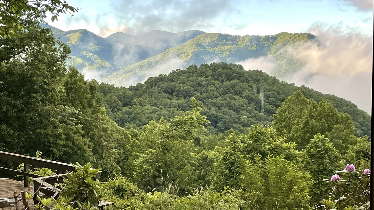Photo of Others in Sylva