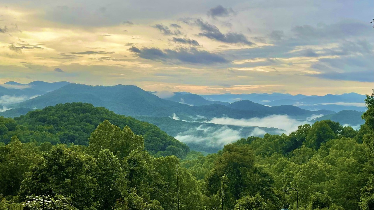 Photo of Others in Sylva