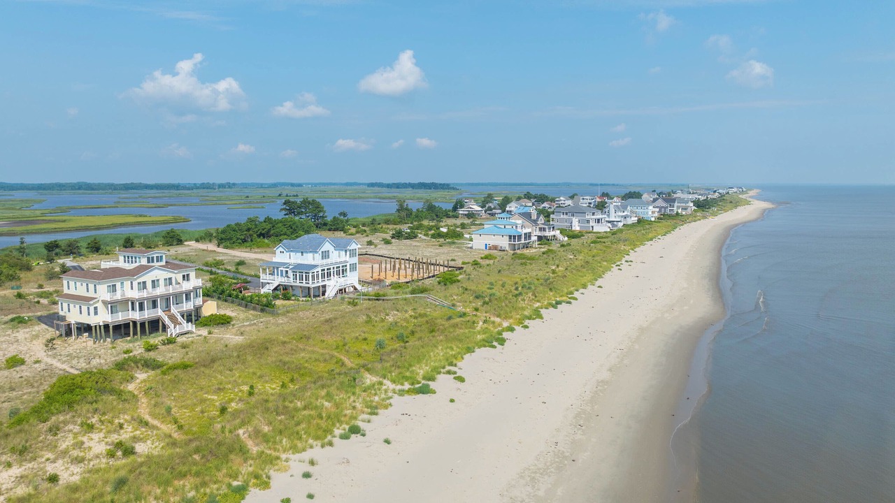 Photo of Others in Milford