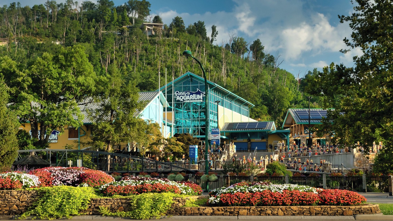 Photo of Others in Wears Valley
