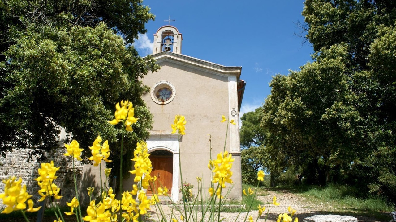 Photo of Outdoor in Carnoules
