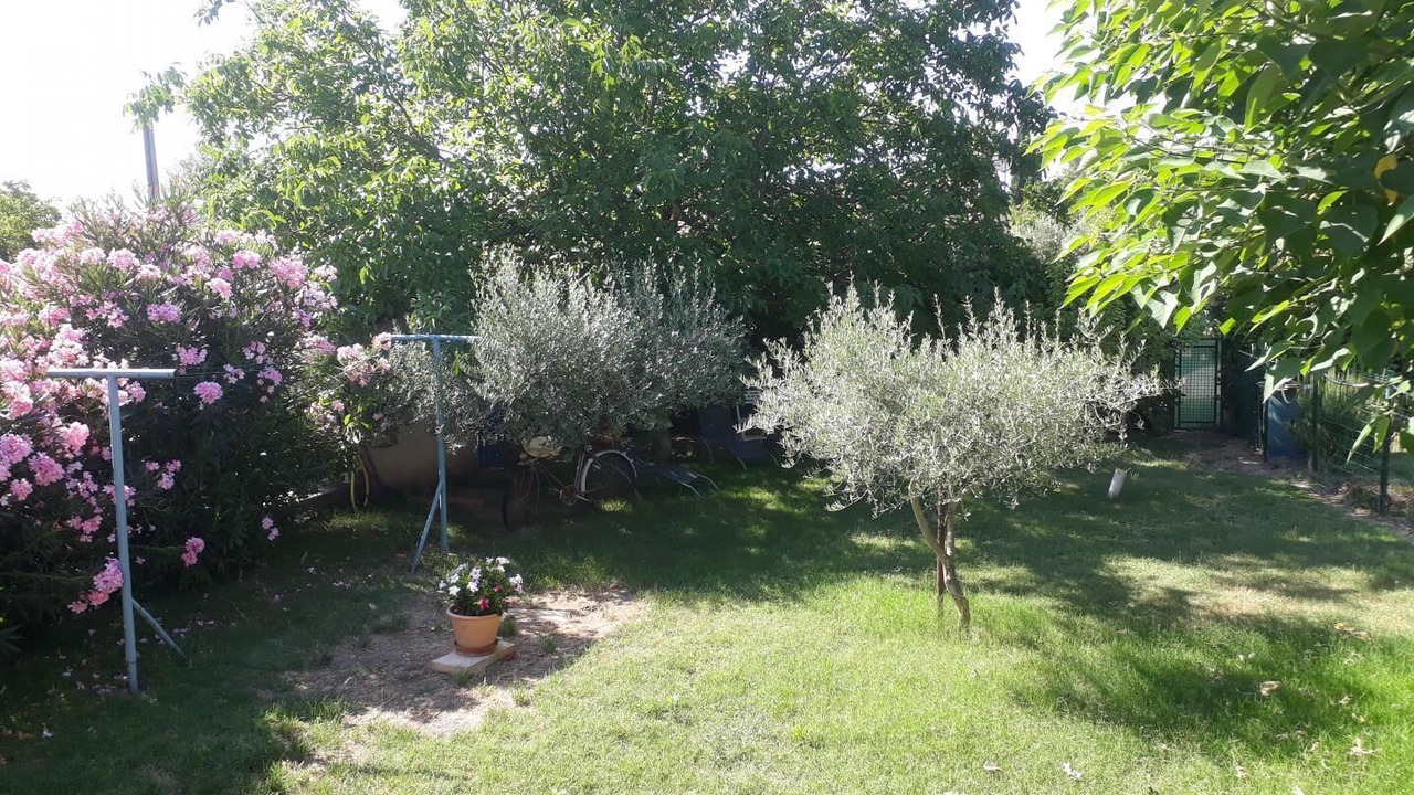 Photo of Outdoor in Carnoules