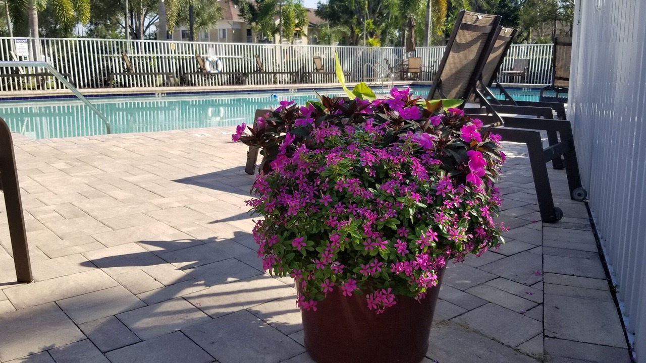 Photo of Outdoor in Fountain Lakes