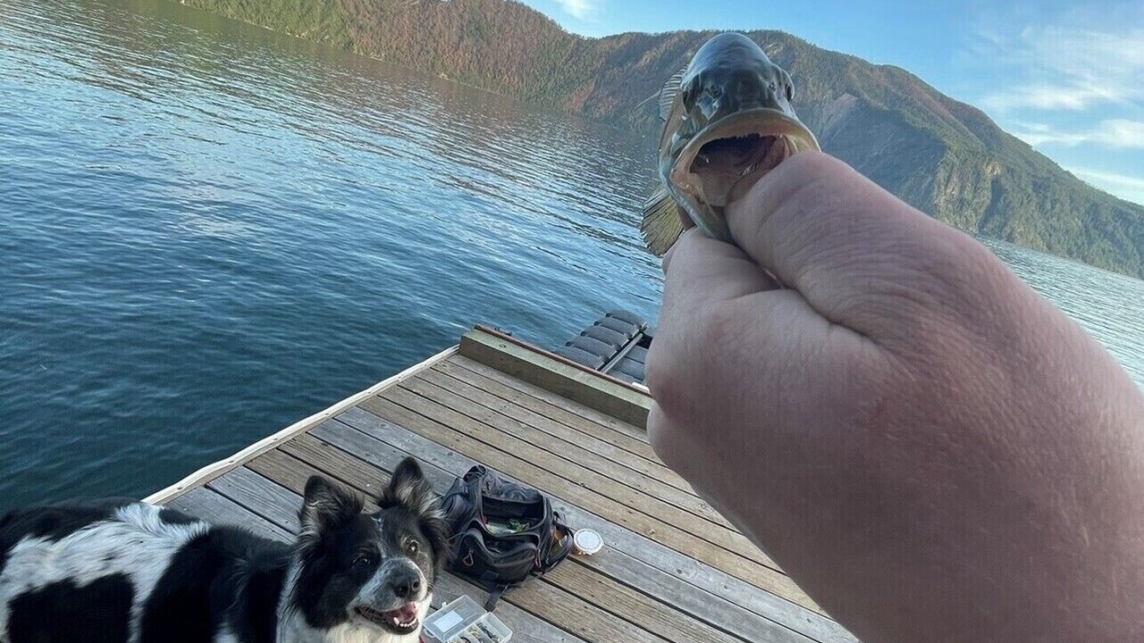 Photo of Others in Bayview