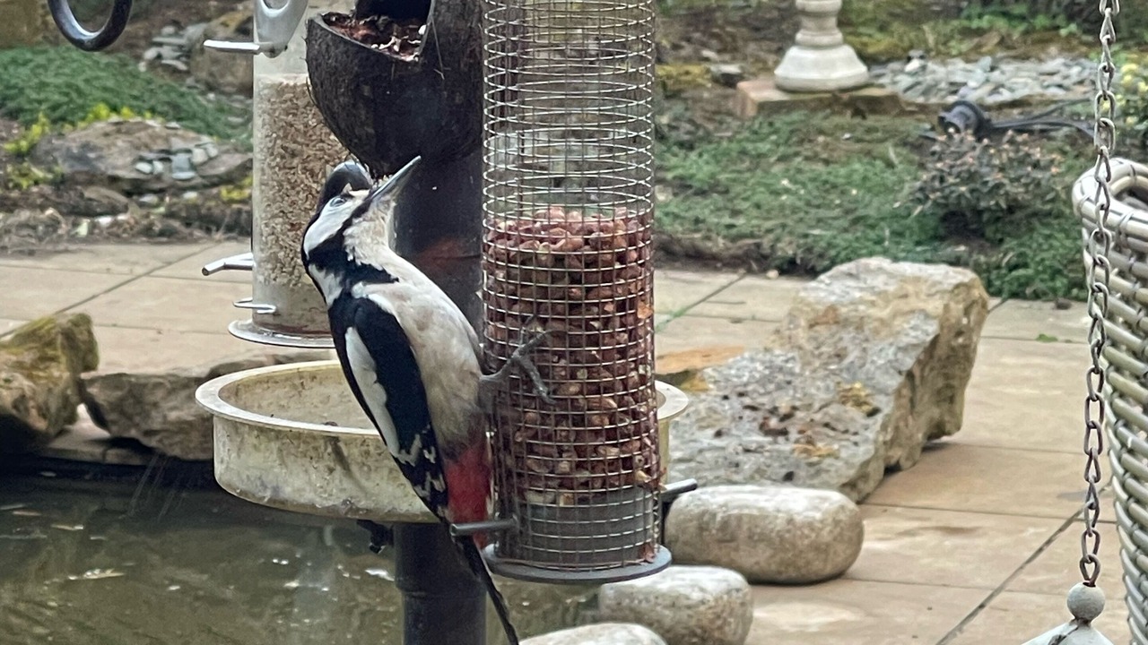 Photo of Outdoor in Sibford Gower