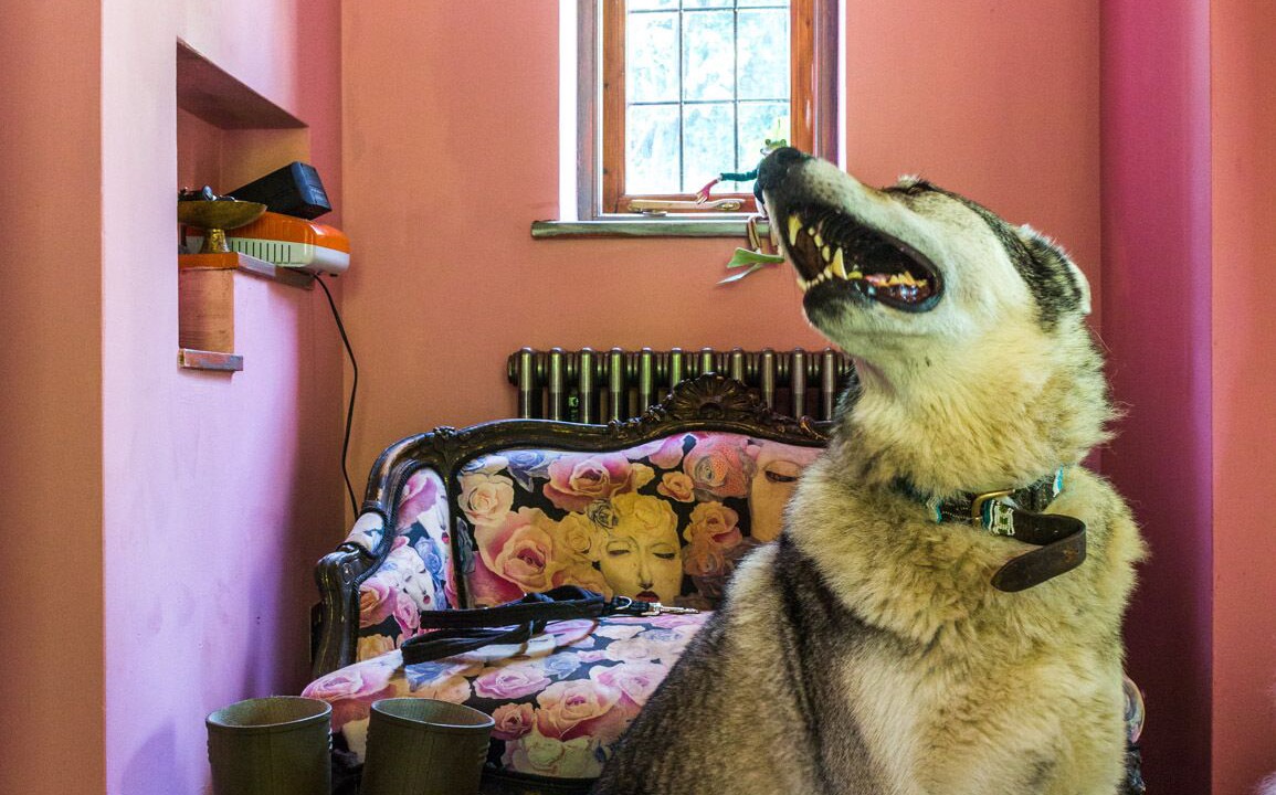 Photo of Others in Sibford Gower