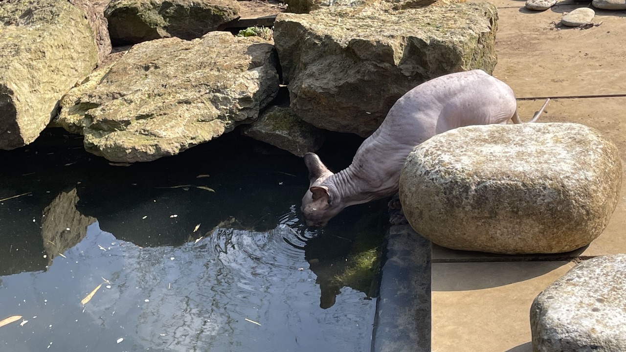 Photo of Others in Sibford Gower