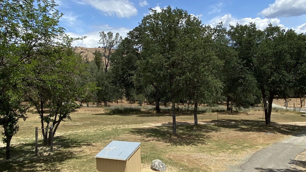 Photo of Outdoor in Lotus