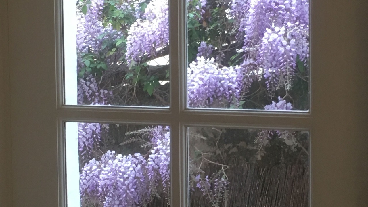 Photo of Others in La Ciotat