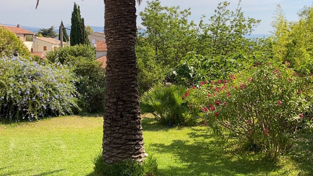 Photo of Outdoor in La Ciotat