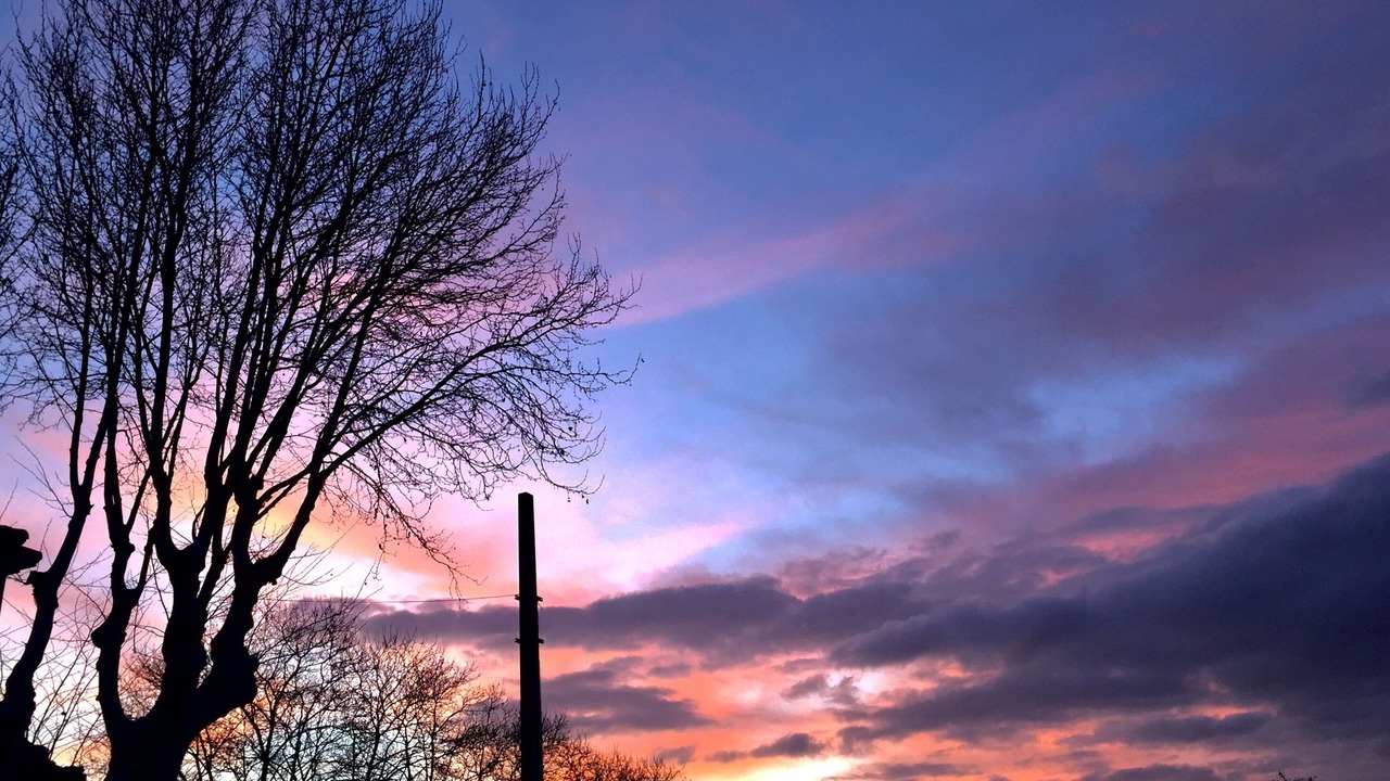 Photo of Outdoor in Ferrals-les-Corbieres