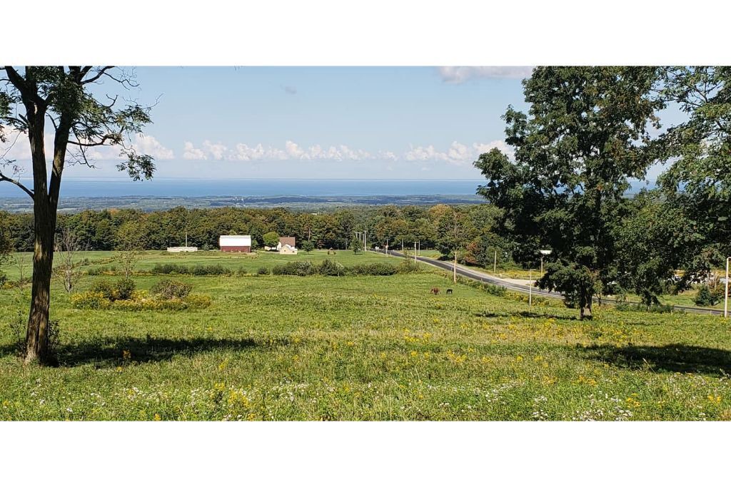 Photo of Outdoor in Fredonia