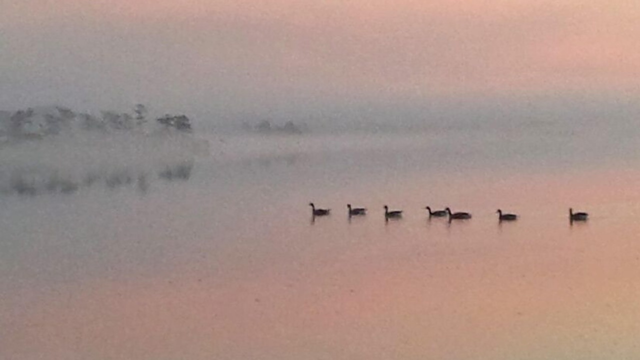 Photo of Others in Deep Hole