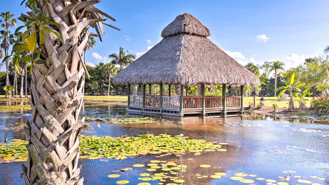 Photo of Others in Tropic