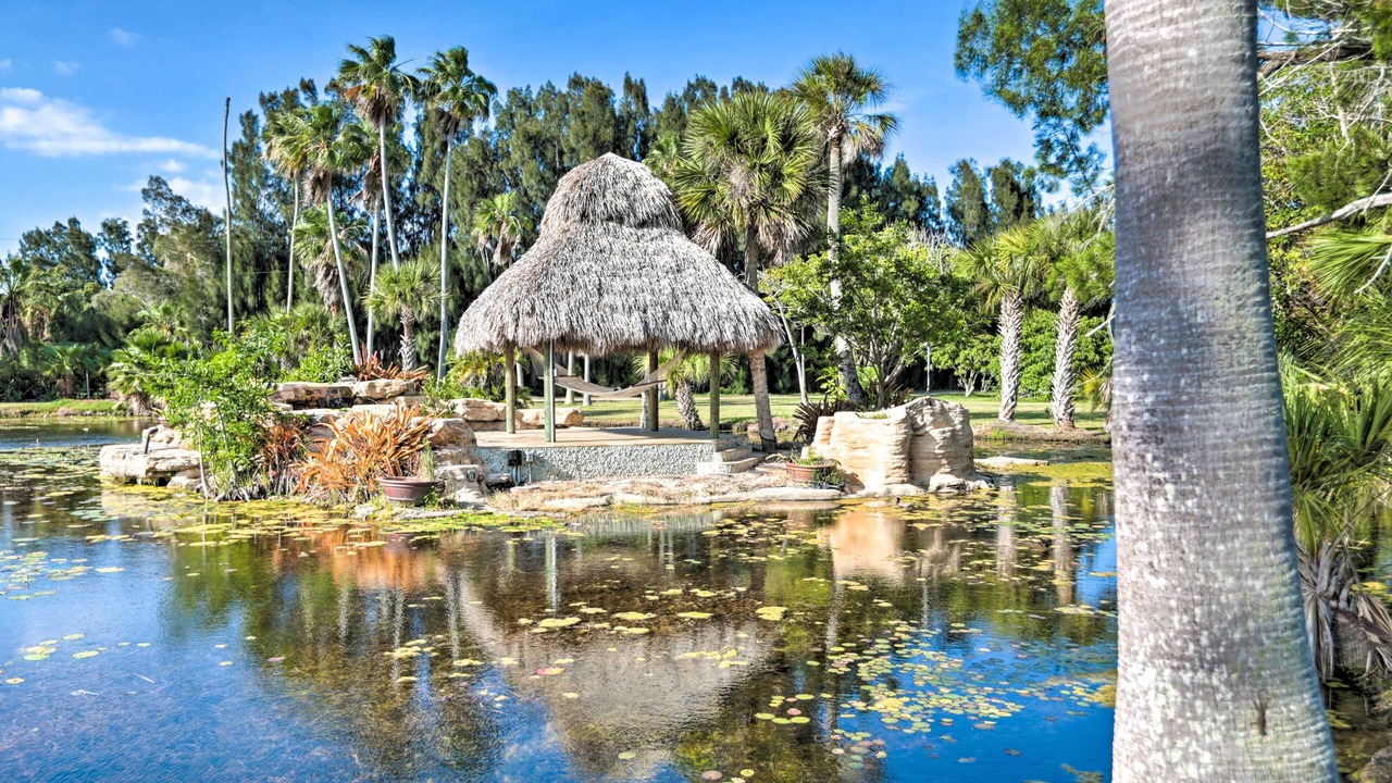 Photo of Others in Tropic