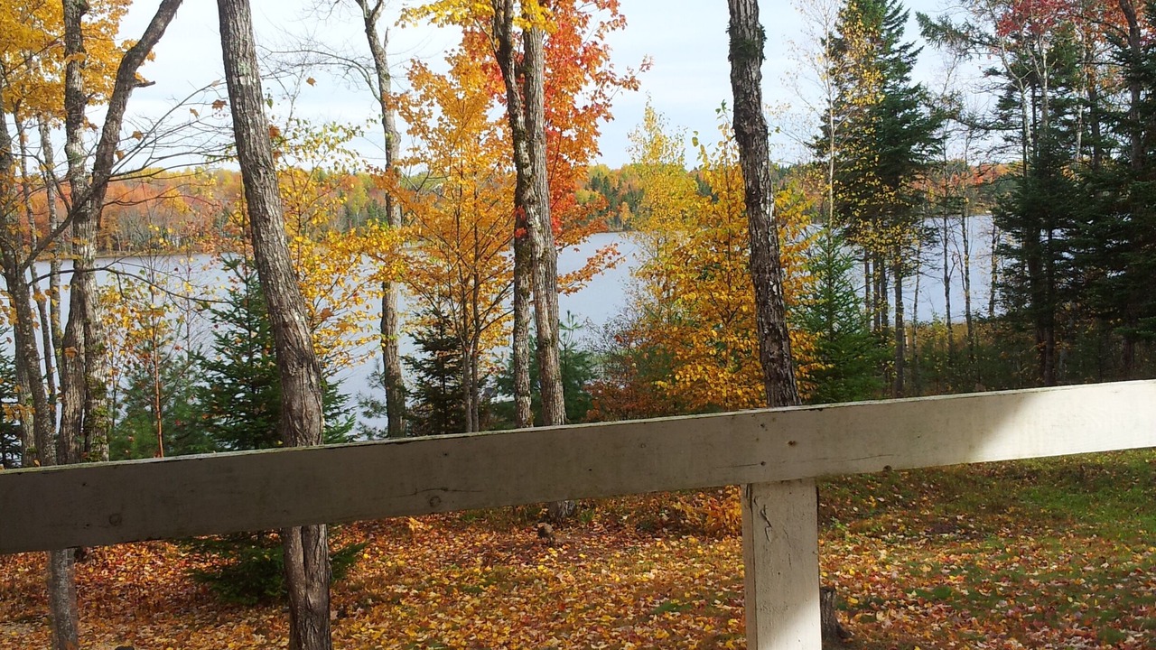 Photo of Outdoor in Cumberland County