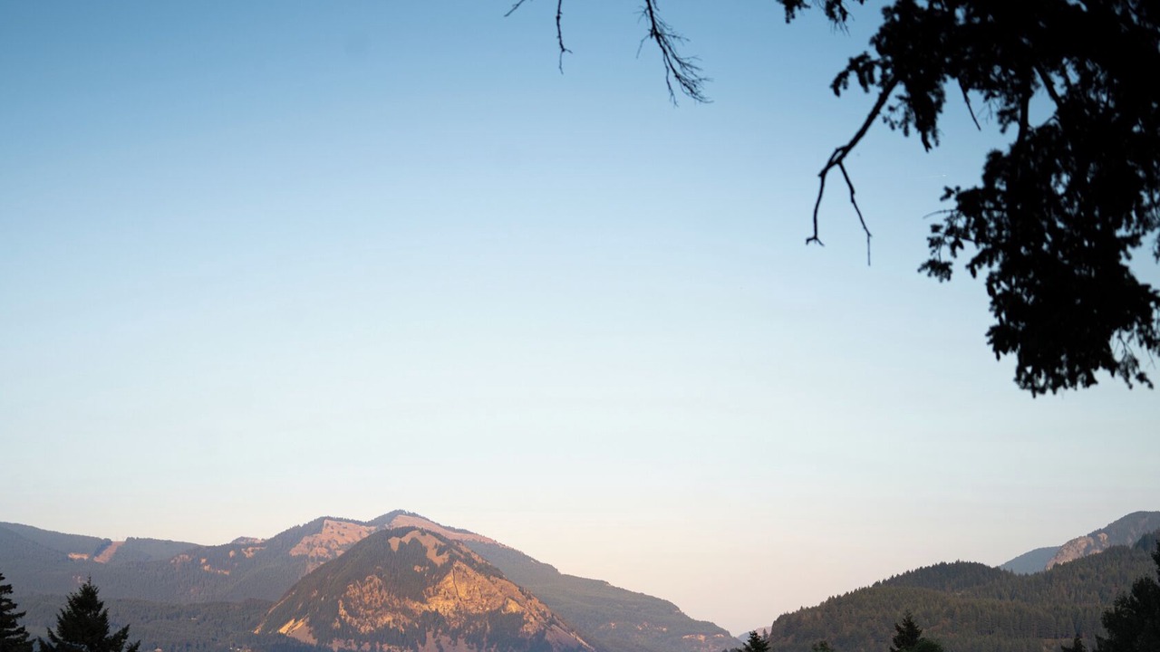 Photo of Others in Stevenson