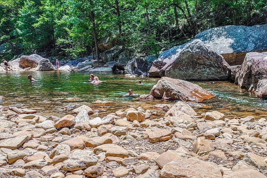 Photo of Others in Soddy-Daisy
