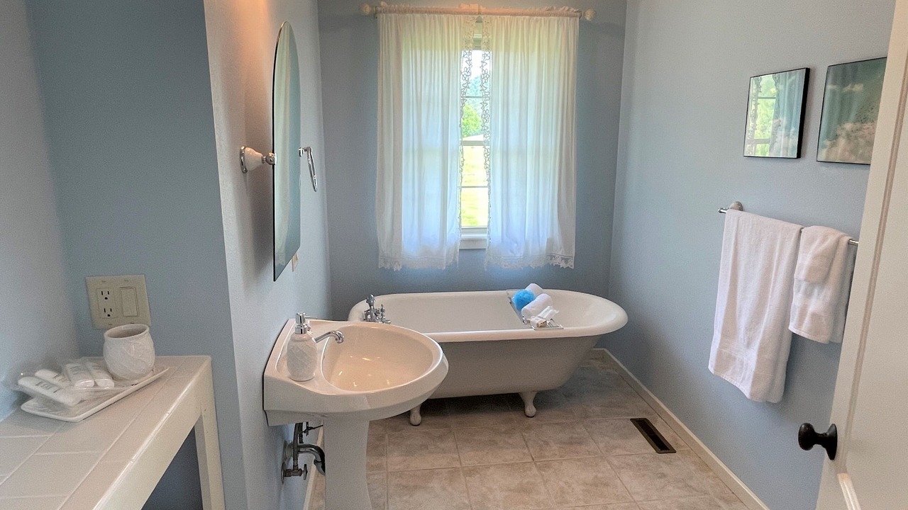 Photo of Bathroom in Buffalo City