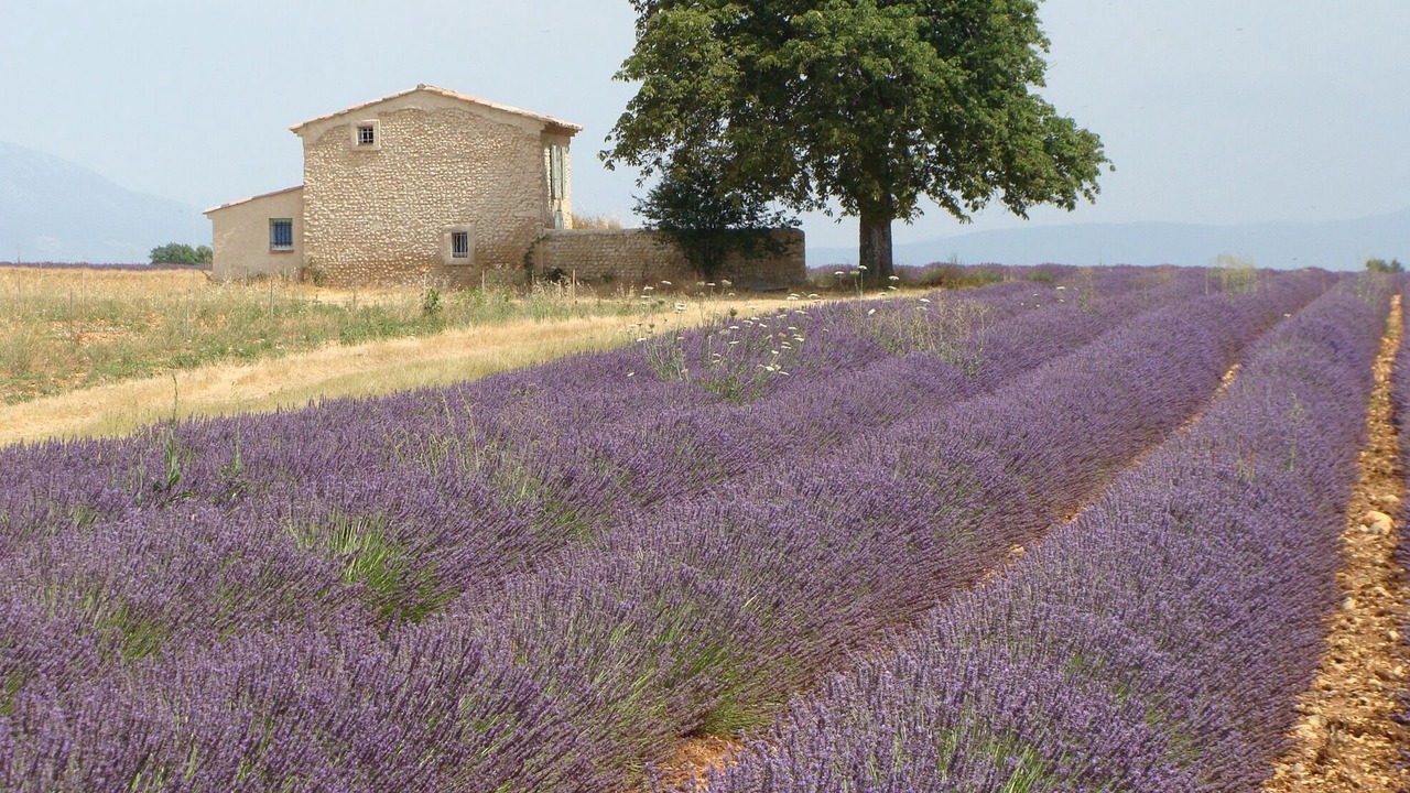 Photo of Others in Oraison