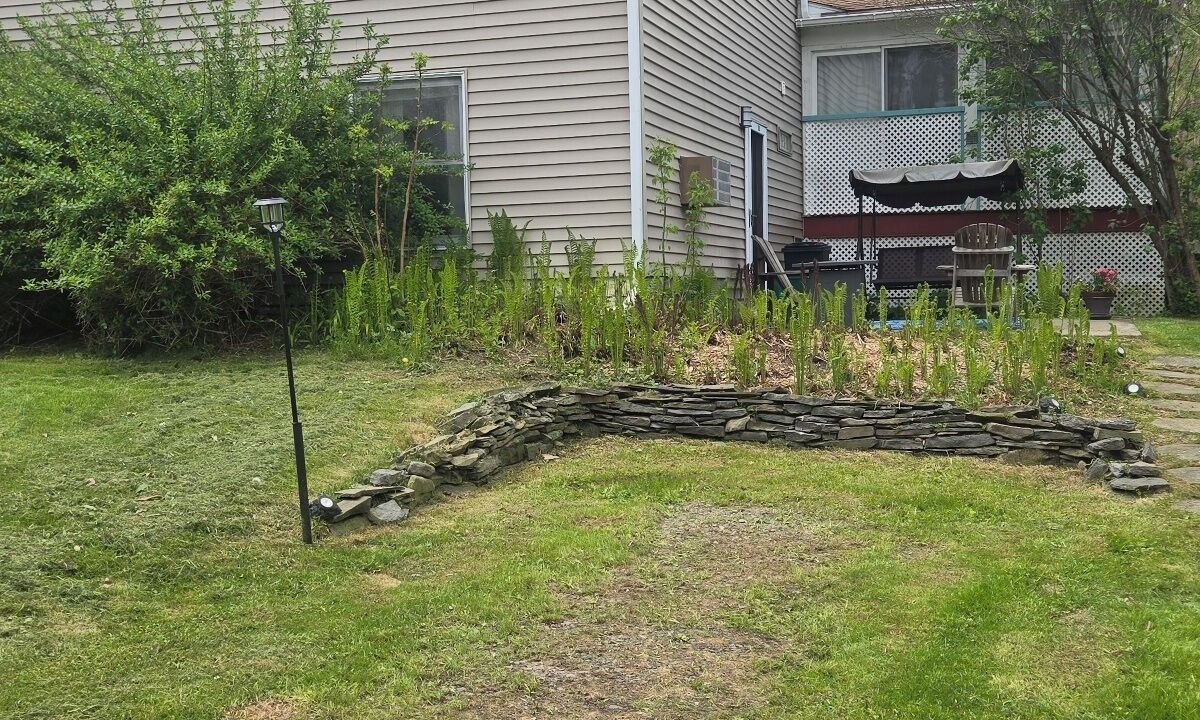 Photo of Outdoor in Danby