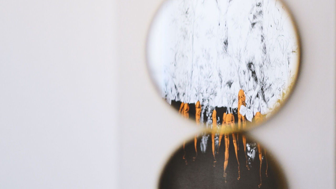 Photo of Others in Etretat