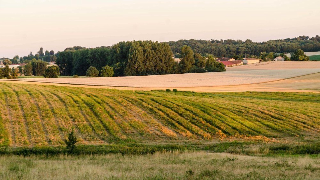 Photo of Others in Poullignac