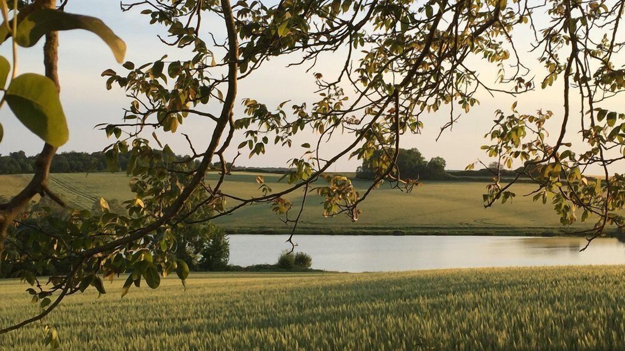 Photo of Others in Poullignac