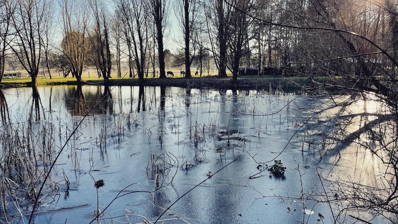 Photo of Outdoor in Avrille-les-Ponceaux