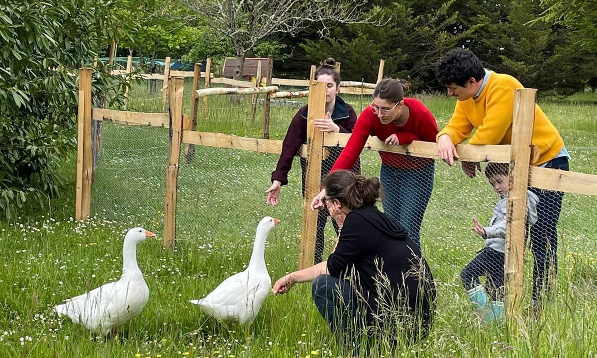 Photo of Outdoor in Avrille-les-Ponceaux