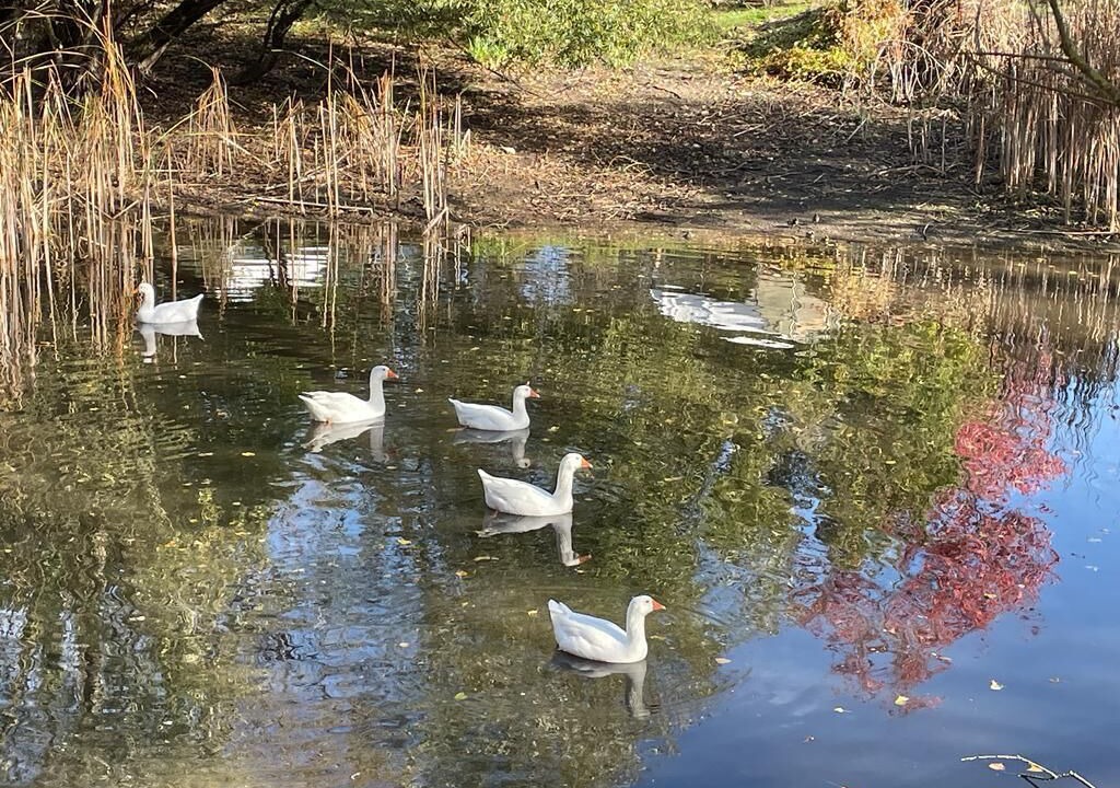 Photo of Outdoor in Avrille-les-Ponceaux