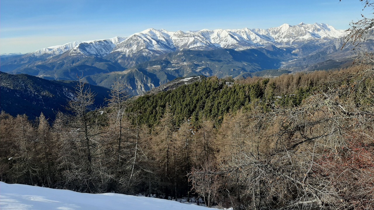 Photo of Others in Peone