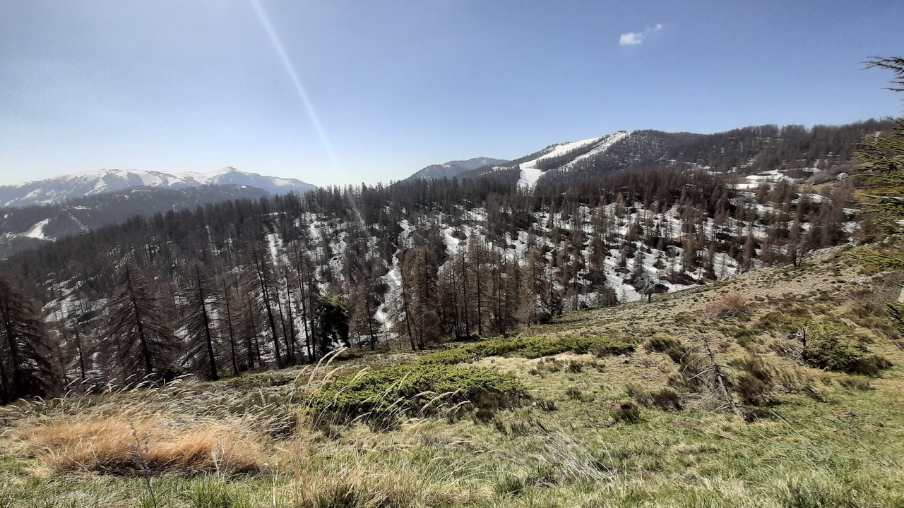 Photo of Outdoor in Peone