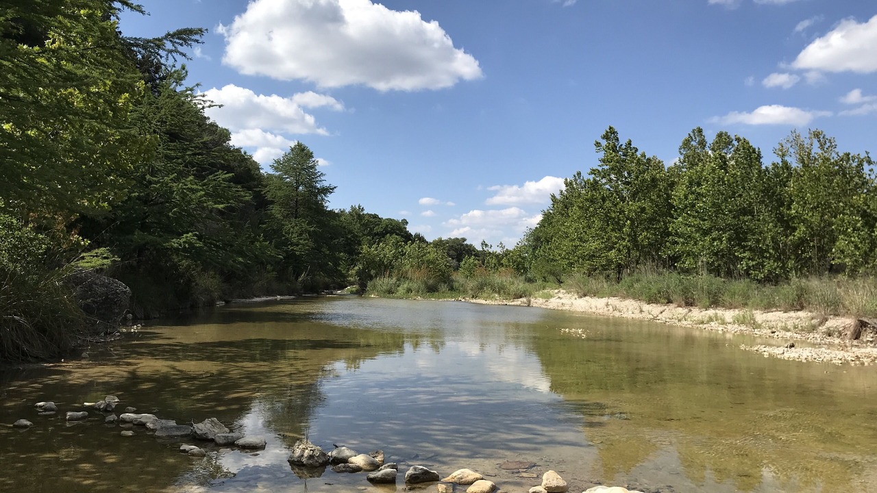 Photo of Others in Leakey