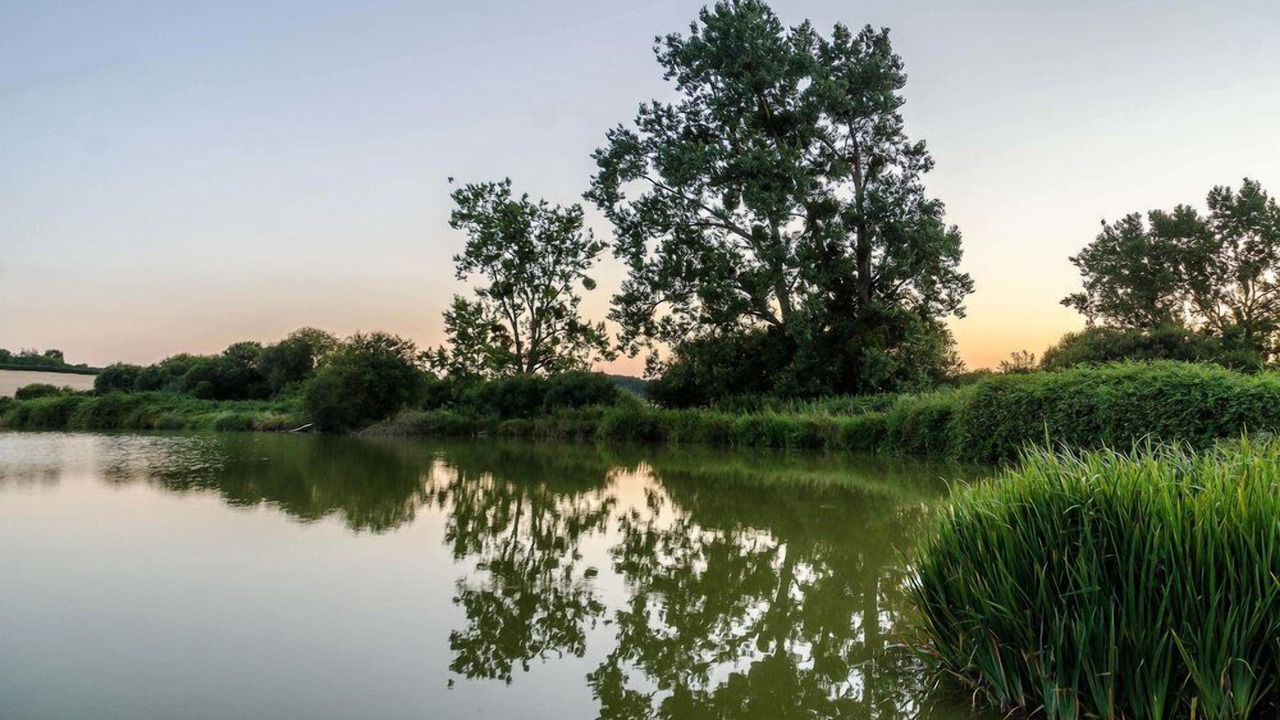 Photo of Outdoor in Poullignac
