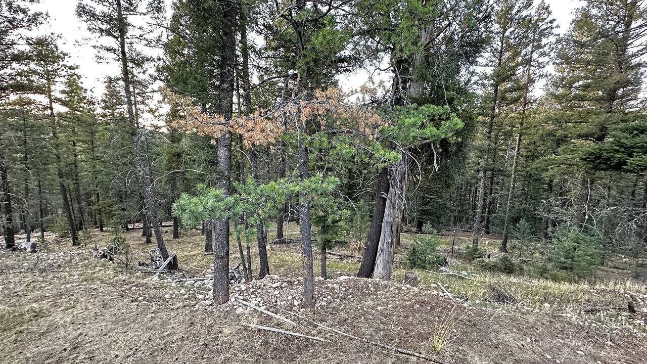 Photo of Others in Sacramento