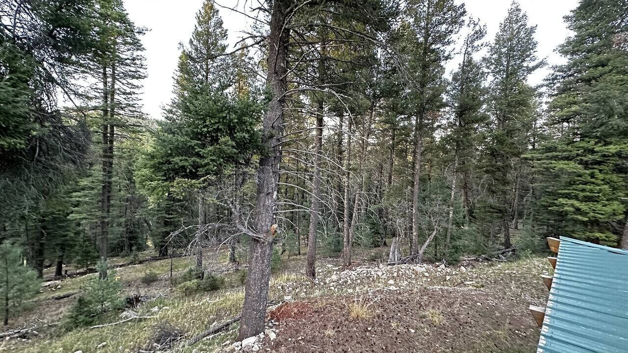 Photo of Outdoor in Sacramento