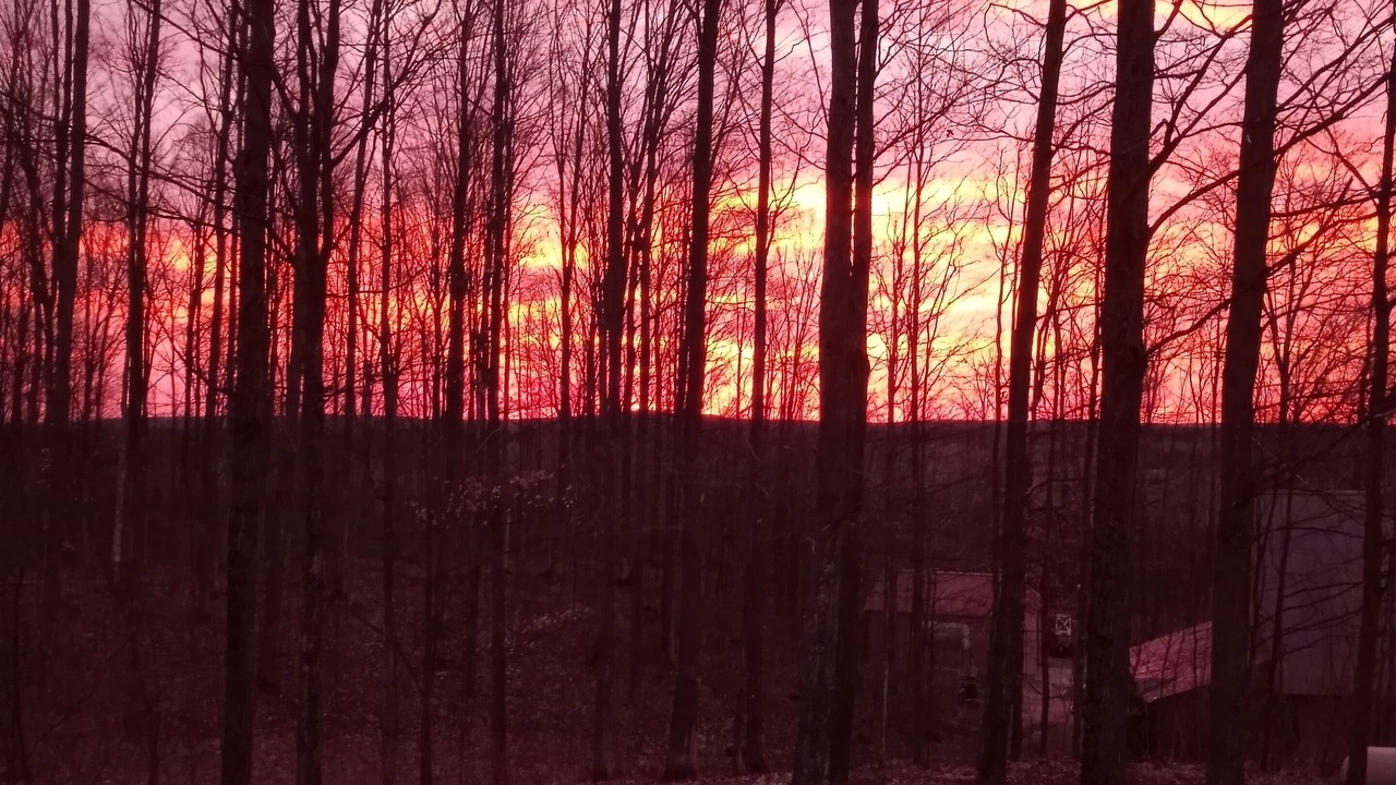 Photo of Outdoor in Vanderbilt