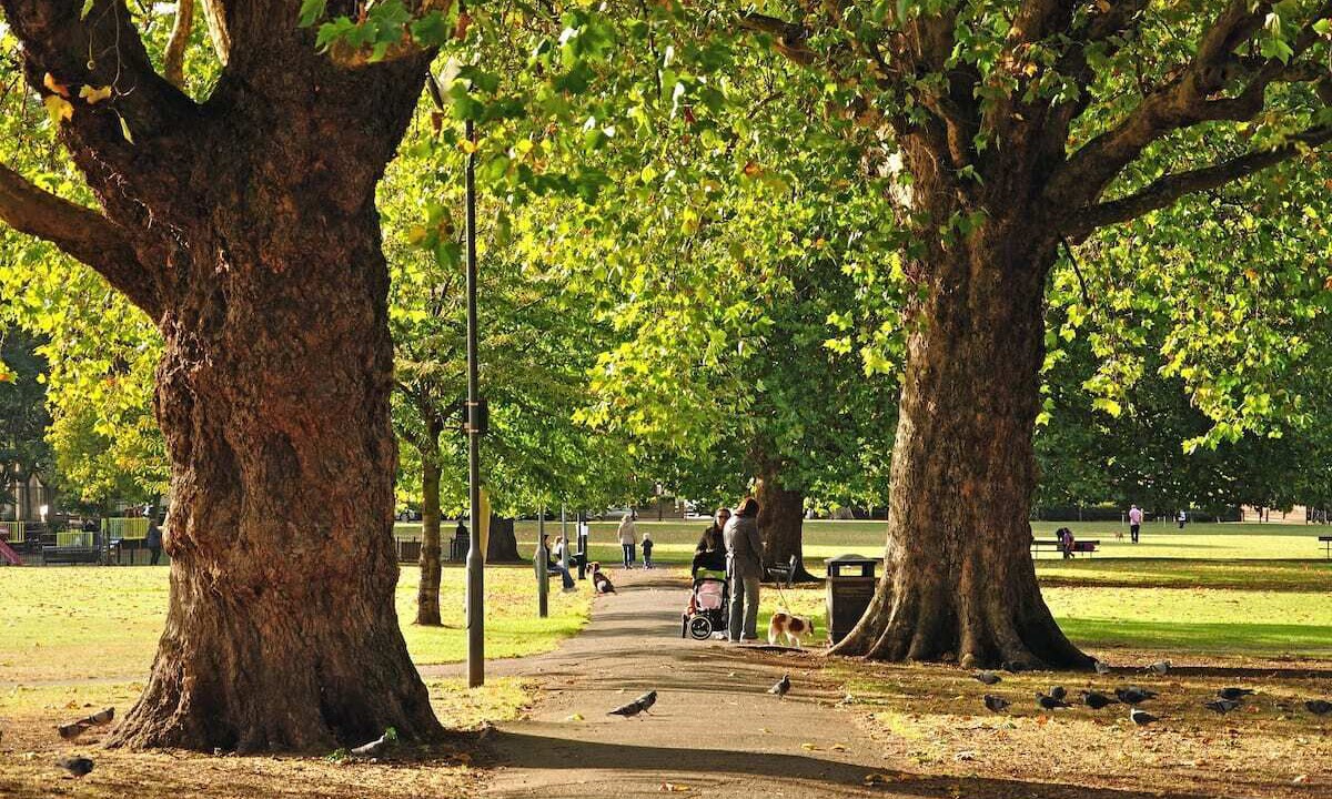 Photo of Others in Parsons Green and Walham