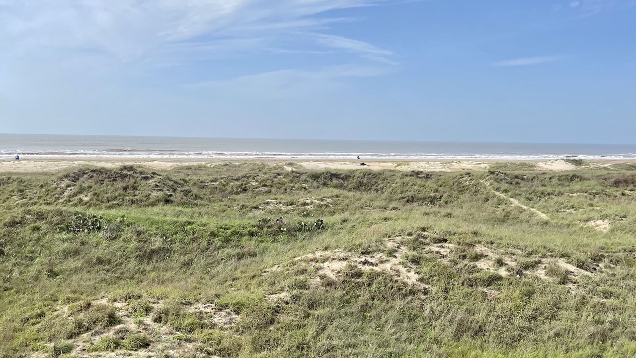 Photo of Others in Matagorda
