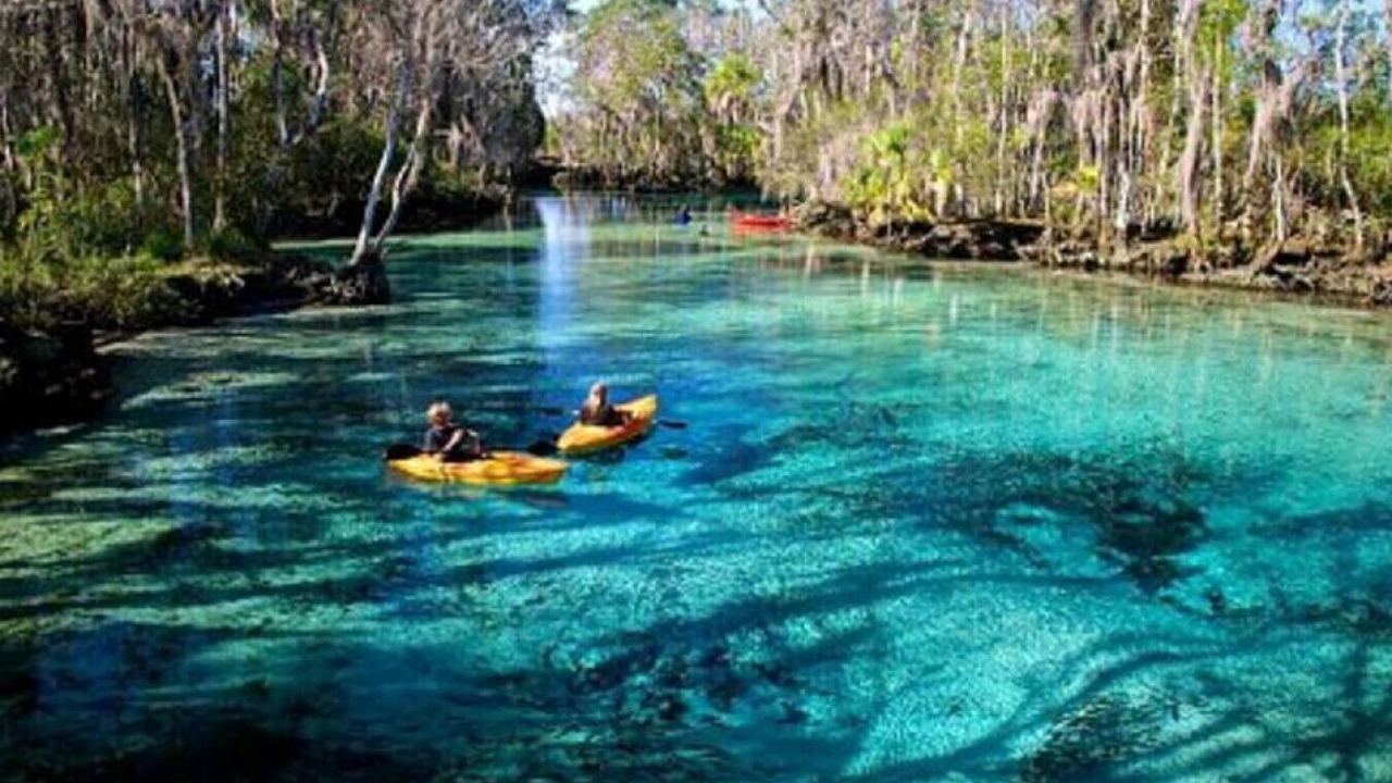 Photo of Outdoor in Homosassa