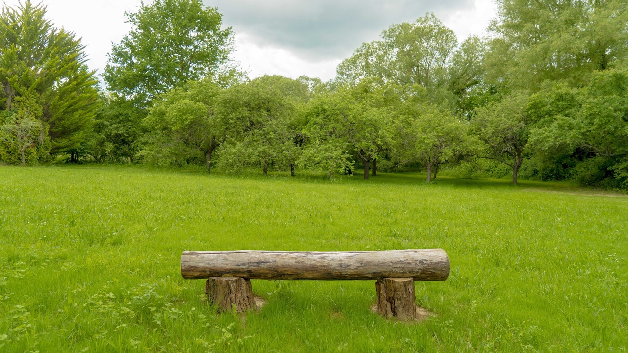 Photo of Outdoor in Orgeval