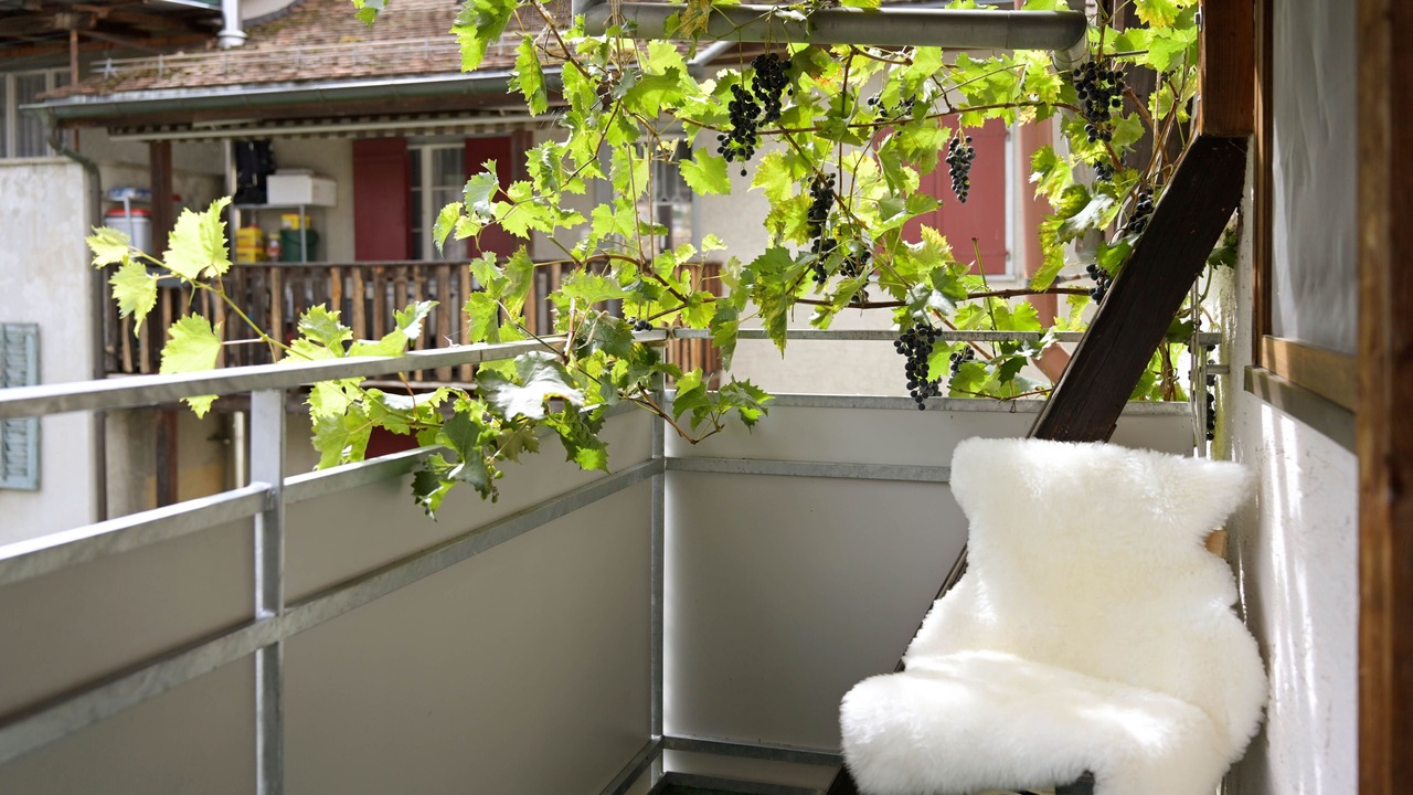 Photo of Outdoor in Steckborn