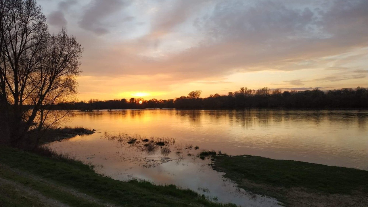Photo of Others in Chinon