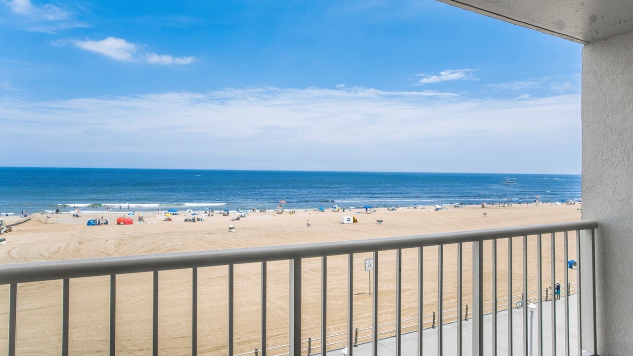 Photo of Others in Northeast Virginia Beach